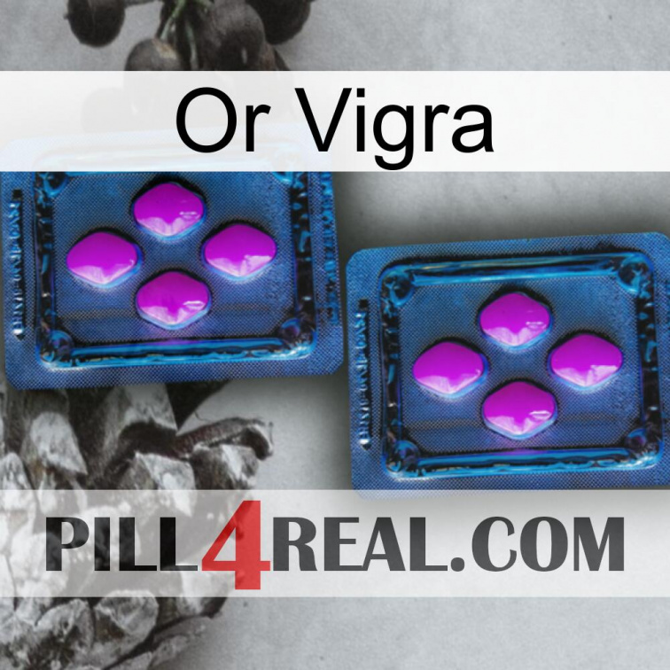 Gold Vigra 03